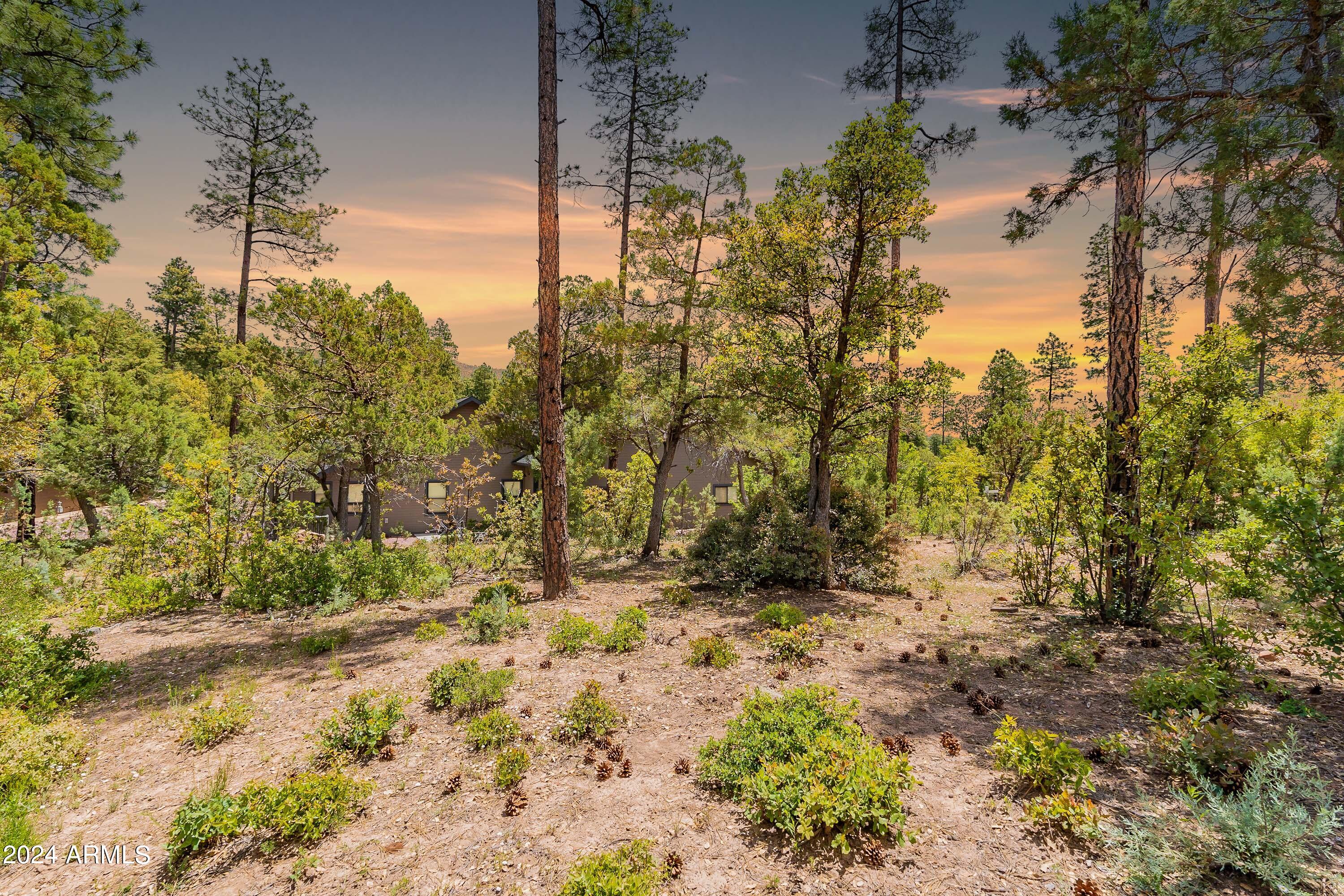 4020 W Forest Court 71