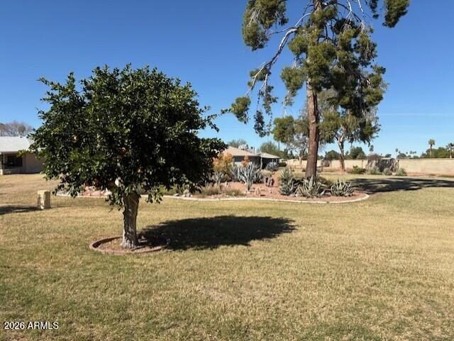 9902 W RAINTREE Drive