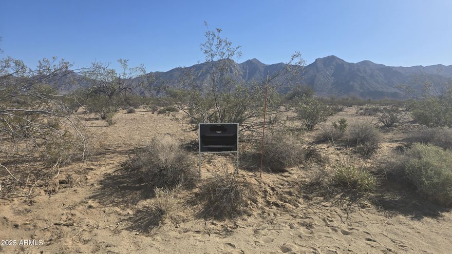 Looking for your next investment? Or maybe your new Homestead! This 24 acre parcel in Buckeye could be The One. No HOA. No flood plain. Amazing mountain views and some ''city lights'' to the west. The neighbors said they love living out here!  Annual property taxes are $24! 
They say you should invest in land that's in the path of progress-- so plan on seeing this one.  Less than 8 Mi to the existing Estrella Mountain Ranch master plan community and only  mi from the next planned phase.  Riggs Road is a section line, adding potential future commercial value. 3 miles away from the planned Hwy 11 connecting Mexico to Canada. Only two miles away from the Sierra Estrella Wilderness for all your hiking needs! All of this yet only 15 miles from Phoenix.