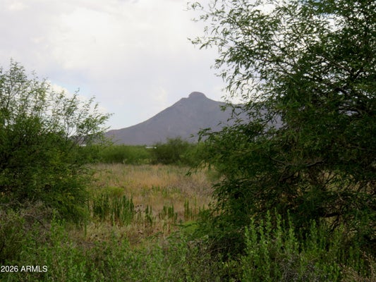 DOUGLAS AVE, DOUGLAS, AZ 85607 - Image 048c6fa8ef68e02fc0fb5475252ec38f/1089851871