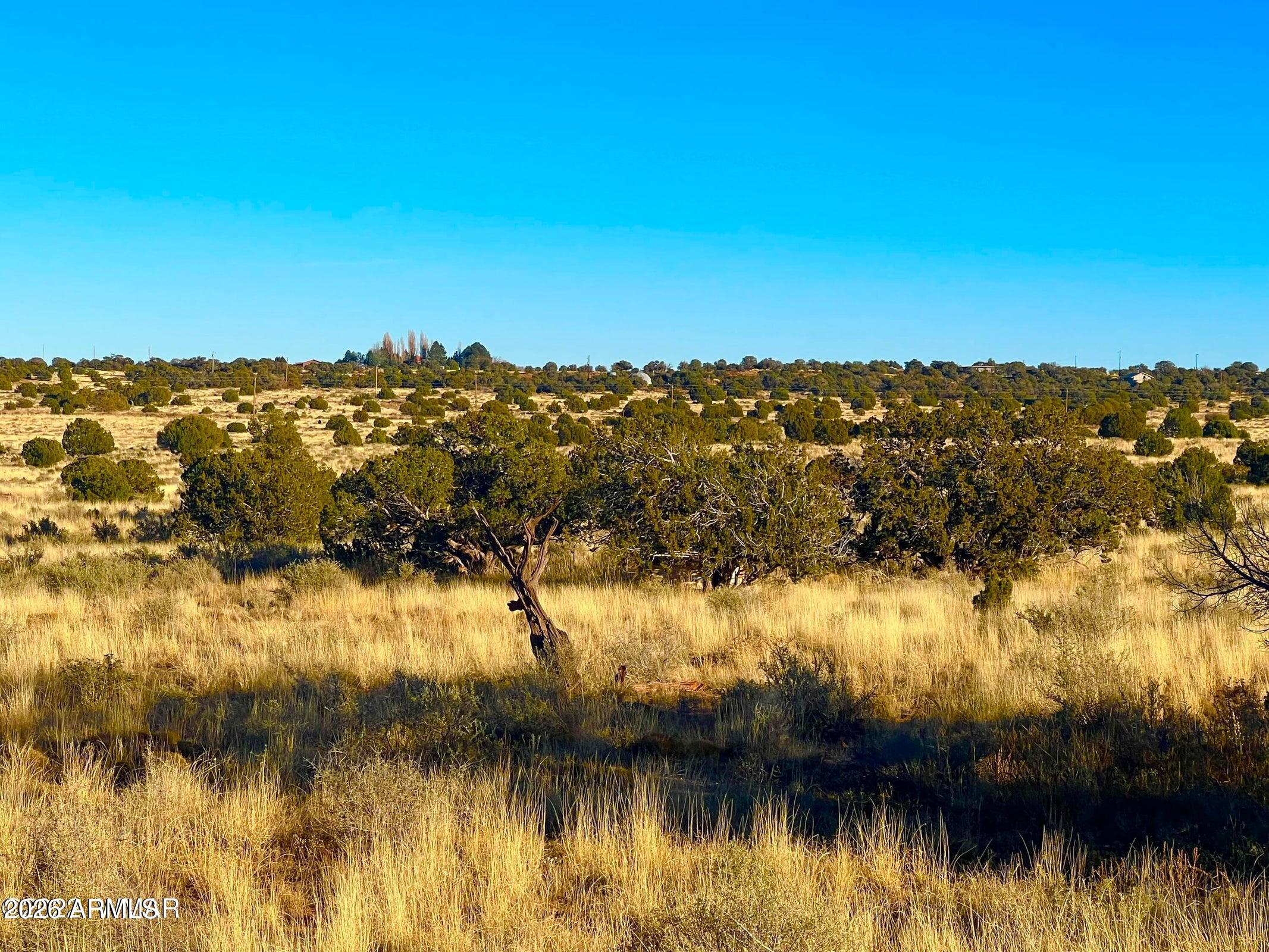 9747 Willis Hill Trl 40 Acres -- -