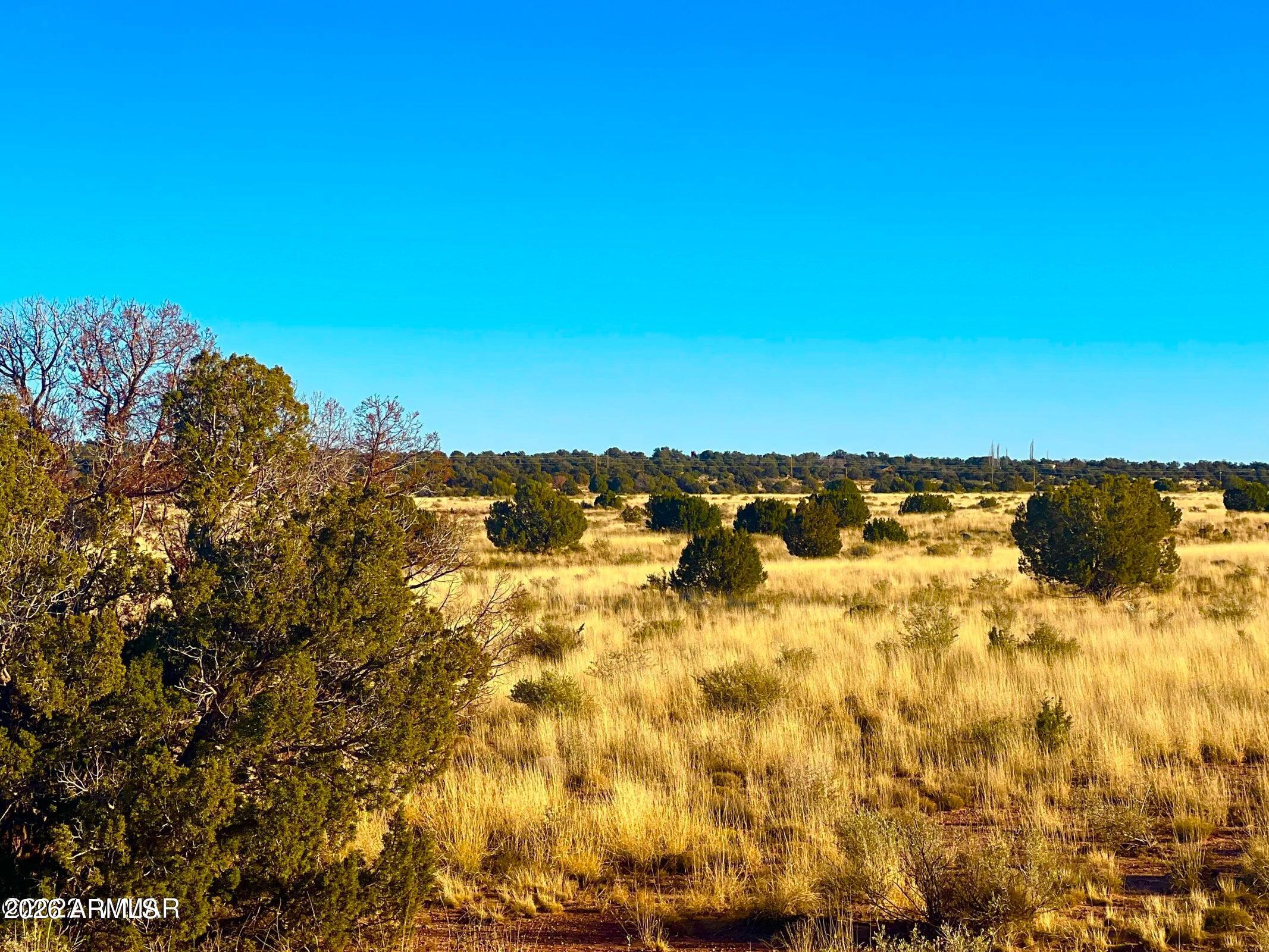 9747 Willis Hill Trl 40 Acres -- -