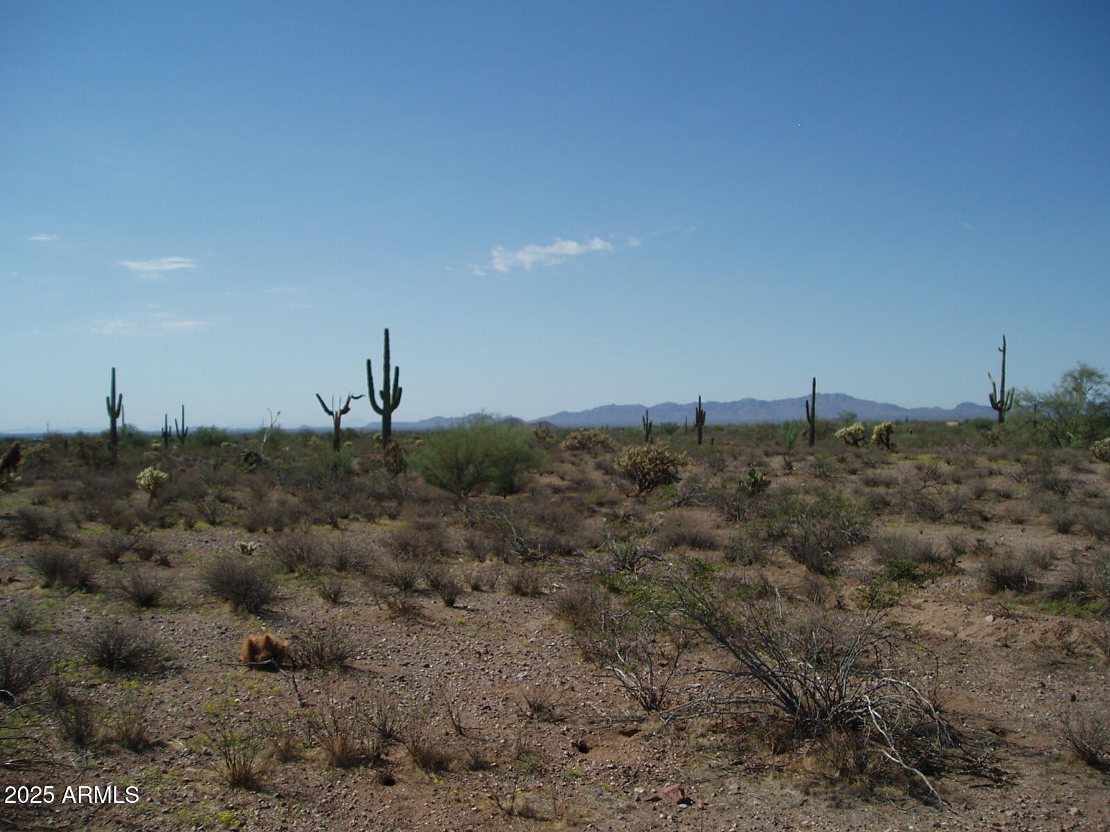 33725 W Galvin Street 148