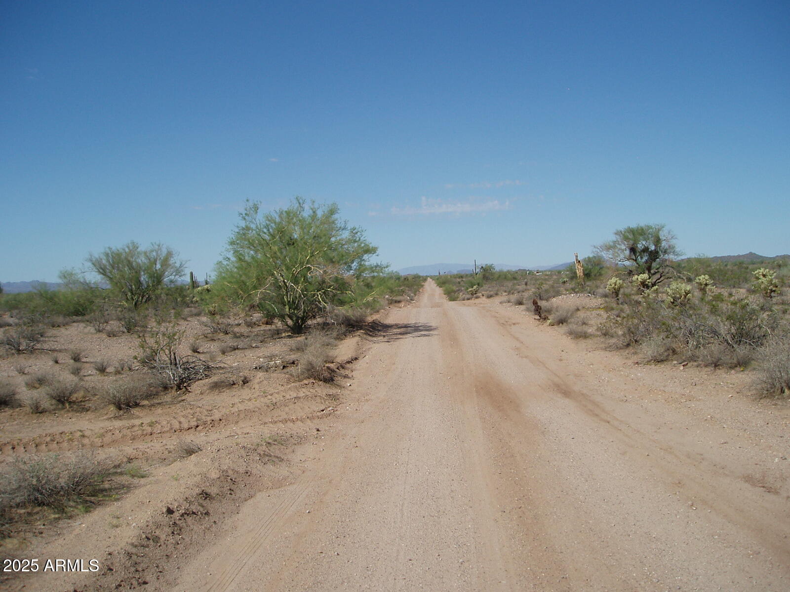 33725 W Galvin Street 148