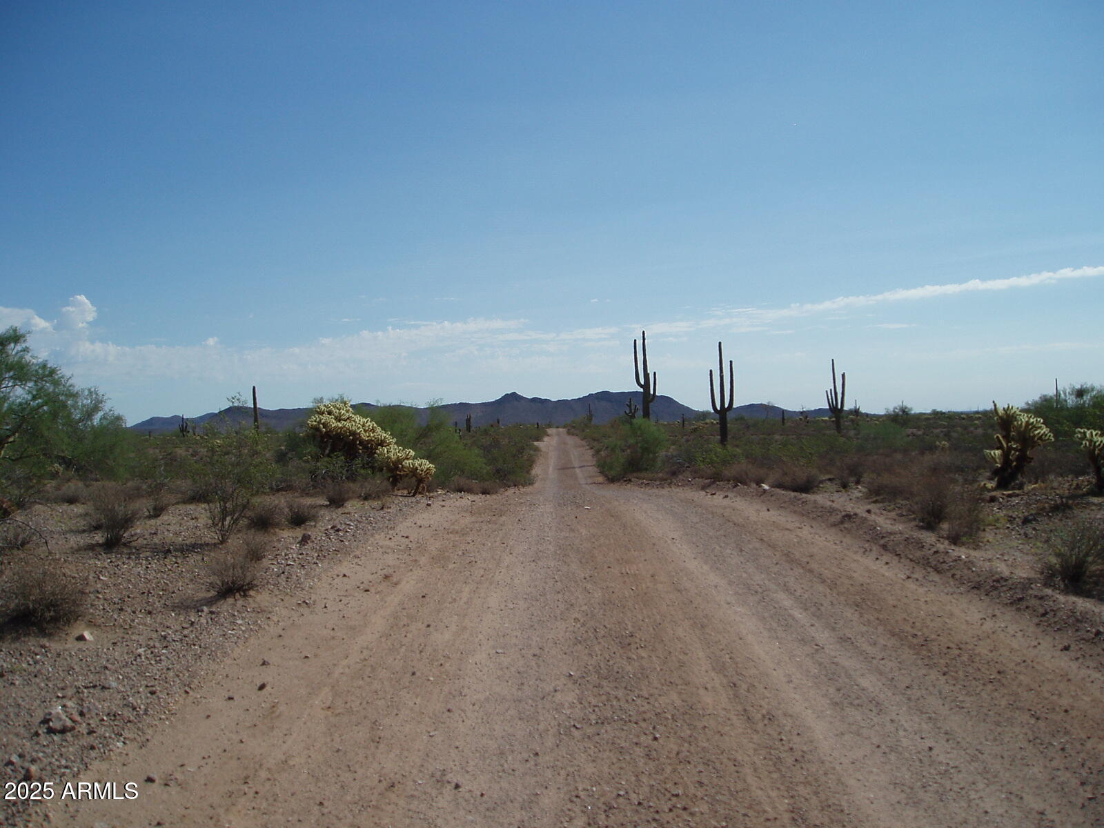 33725 W Galvin Street 148