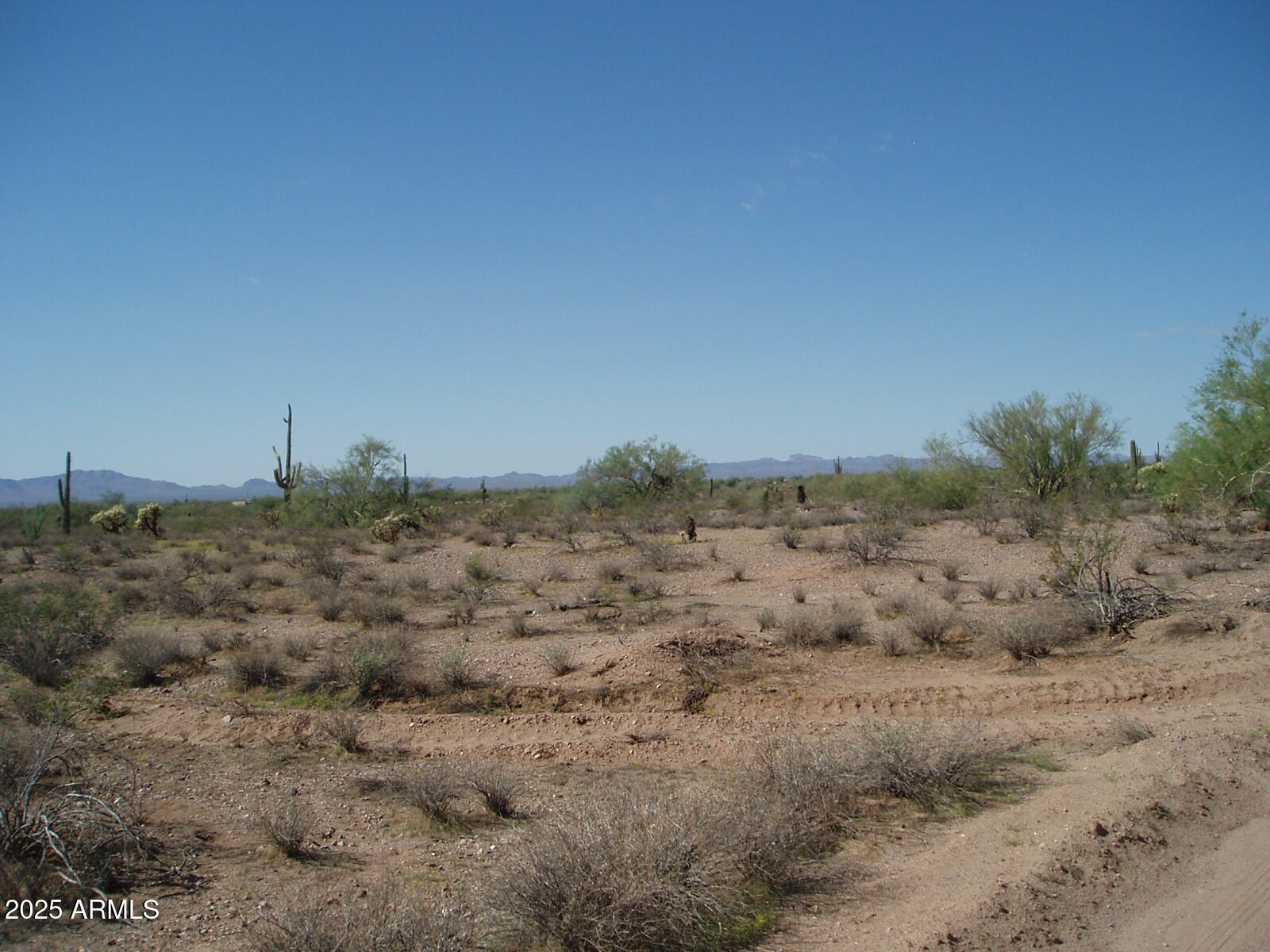 33725 W Galvin Street 148