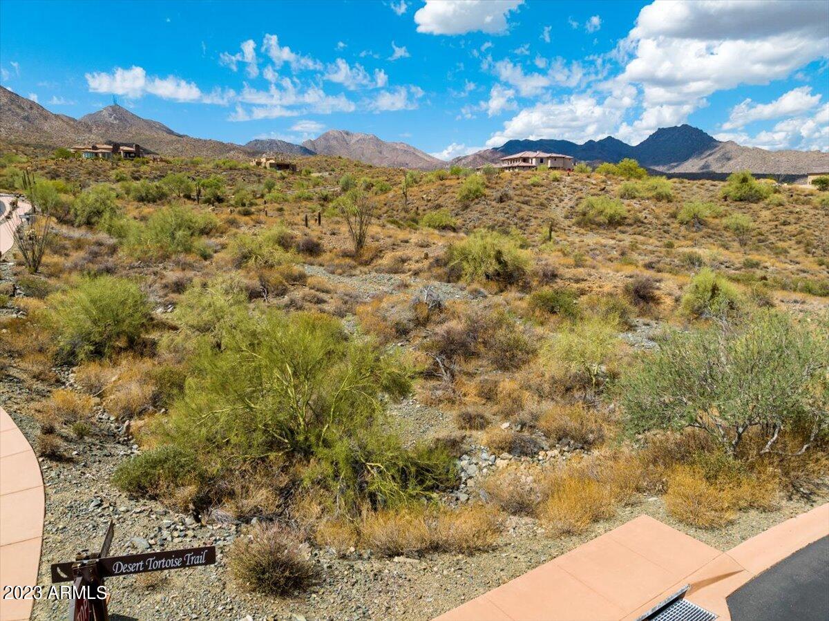 14310 E Desert Tortoise Trail 33