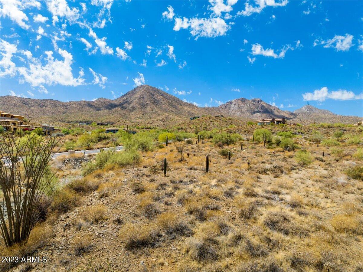 14310 E Desert Tortoise Trail 33