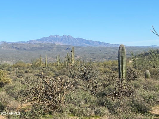 164XX E MORNING VISTA DRIVE # '-', SCOTTSDALE, AZ 85262 - Image 05264c8fbcfa87901ecaede647aff091/3645330243
