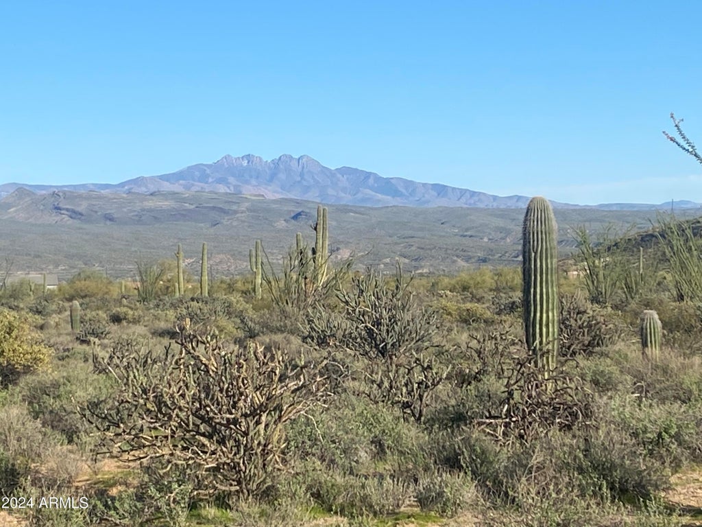 Photo of 164 E Morning Vista Drive #'-', Scottsdale, AZ 85262 (MLS # 7088817)
