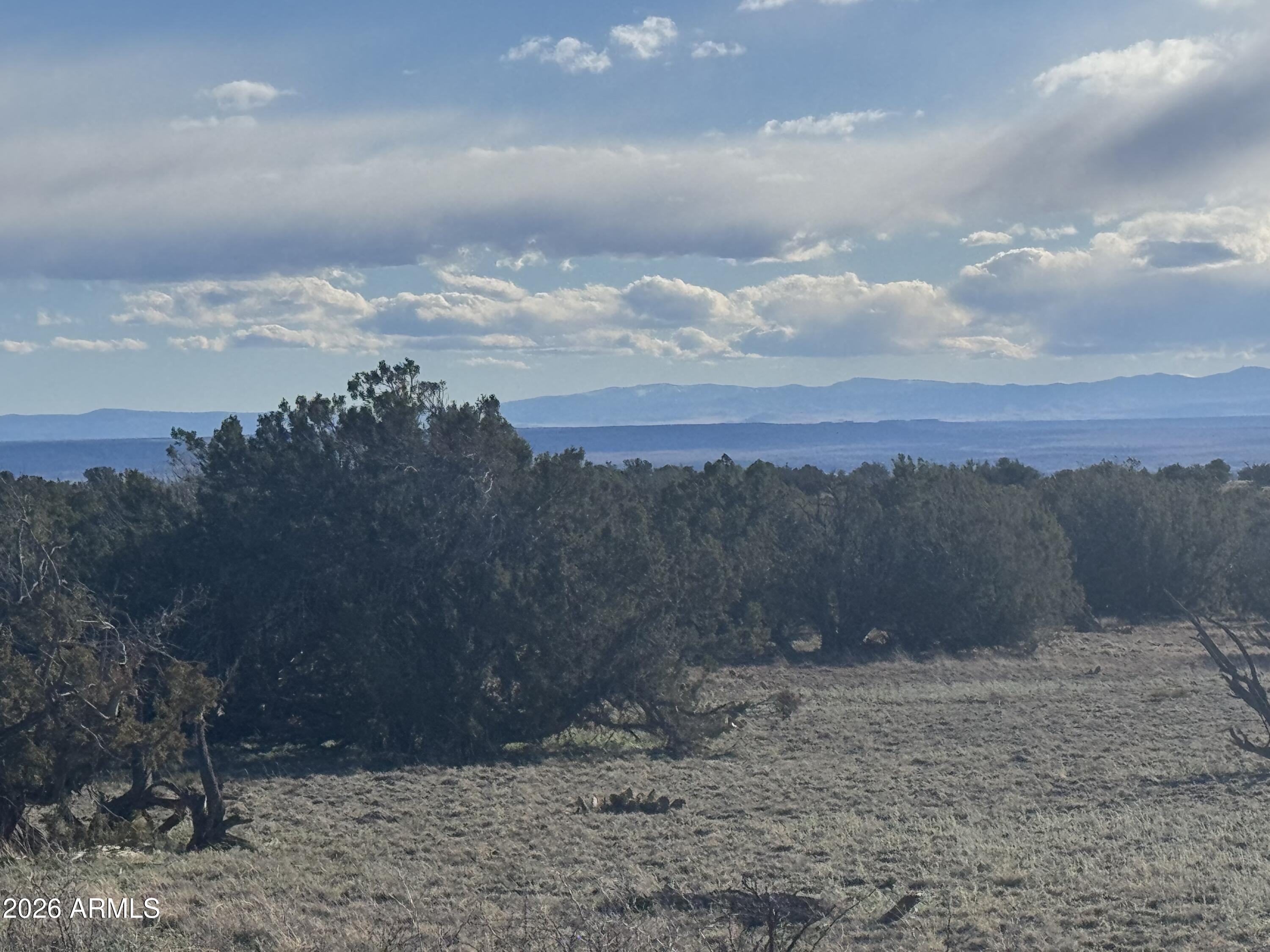 Lot 215 Woodland Valley Ranch -- 215