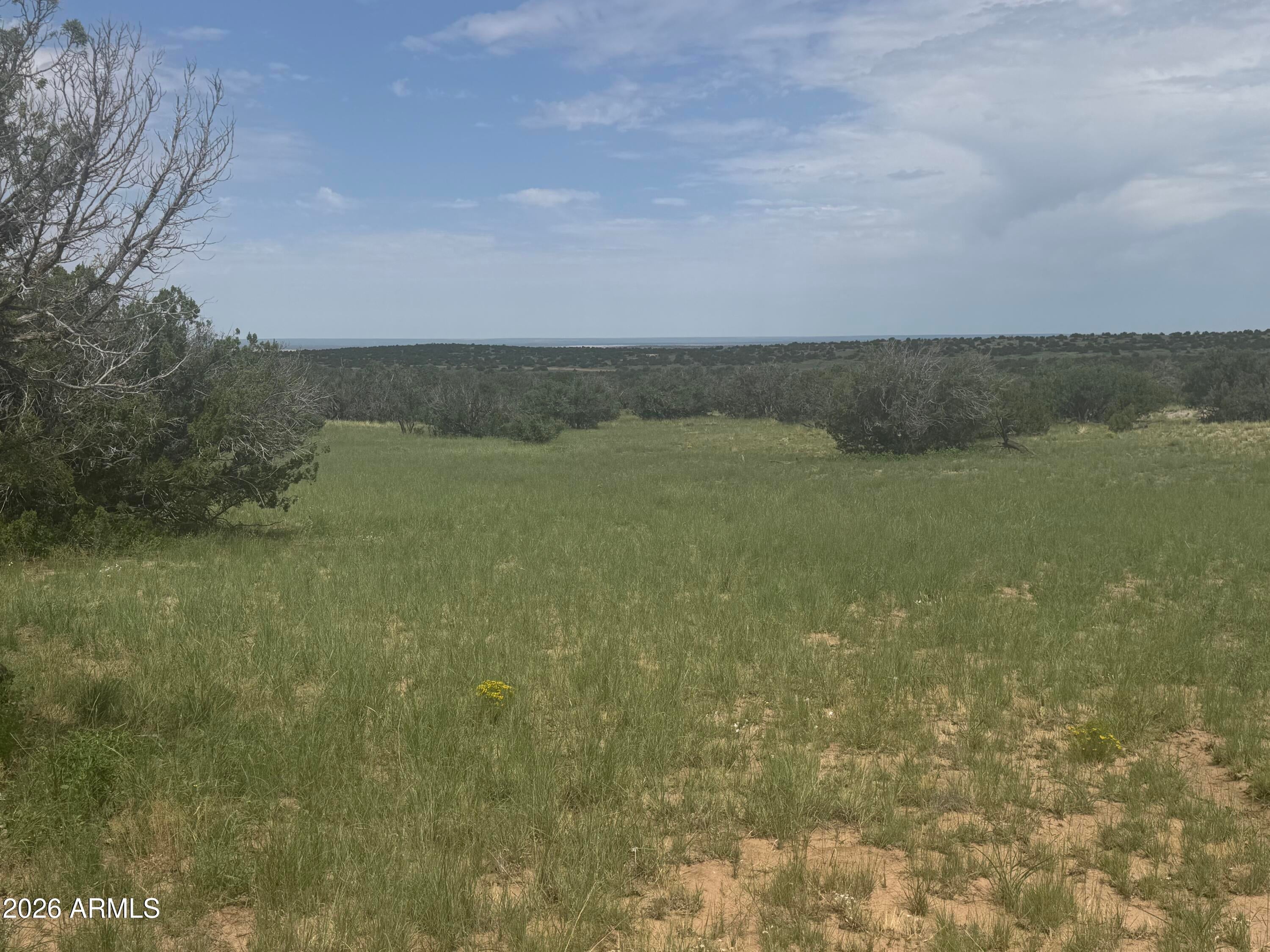 Lot 215 Woodland Valley Ranch -- 215
