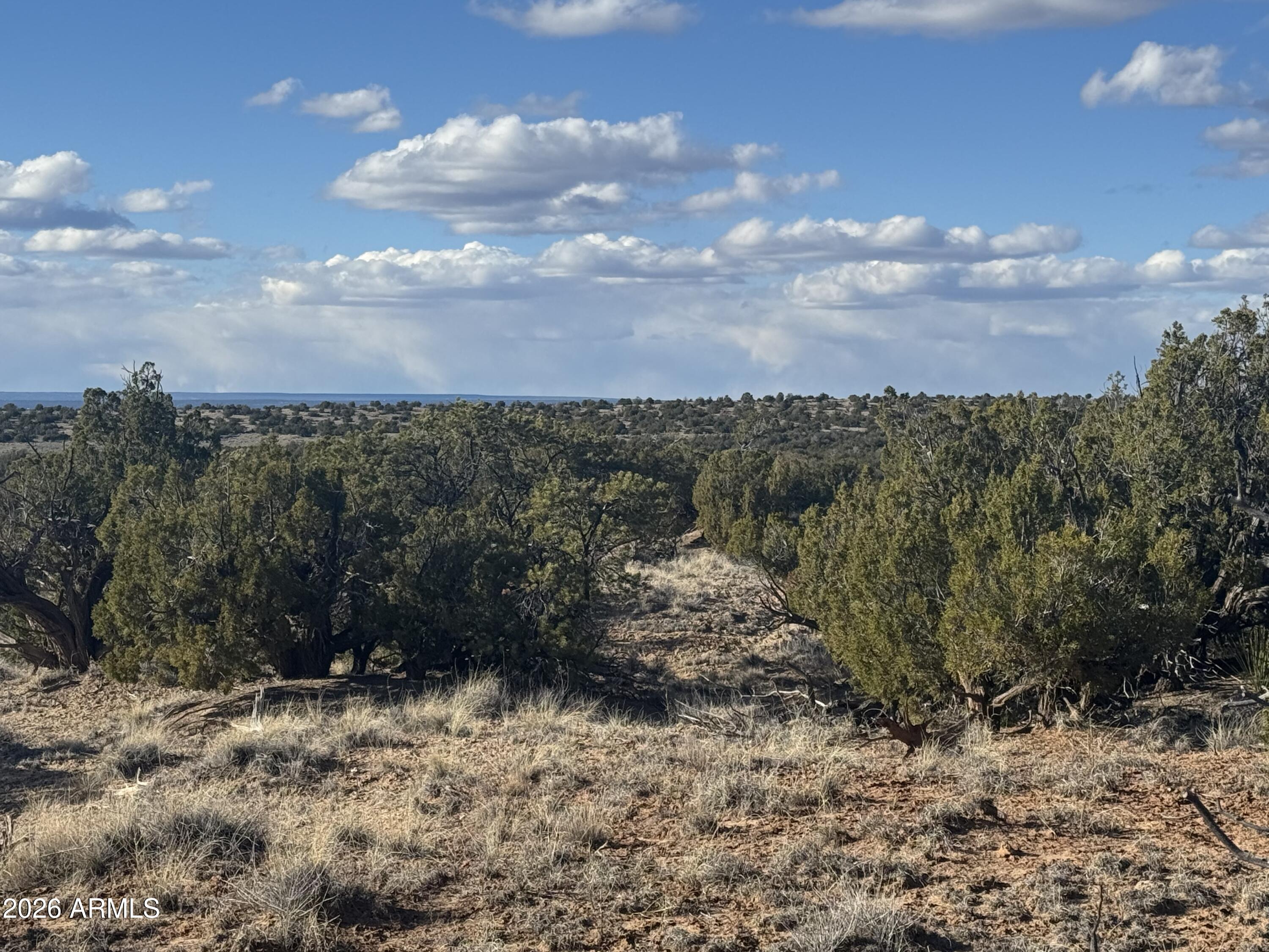 WOODLAND VALLEY RANCH UNIT 2 - Land