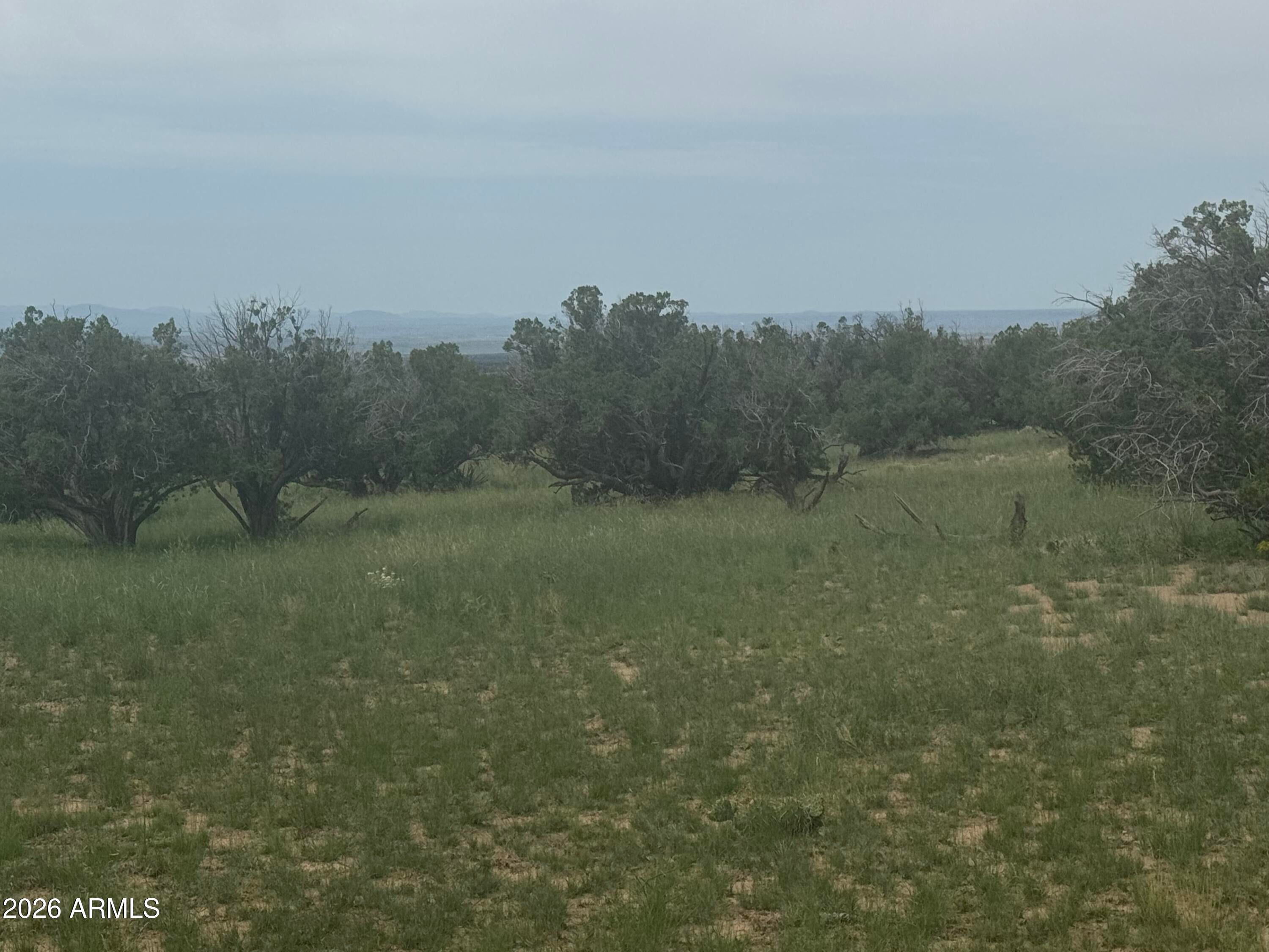 Lot 215 Woodland Valley Ranch -- 215