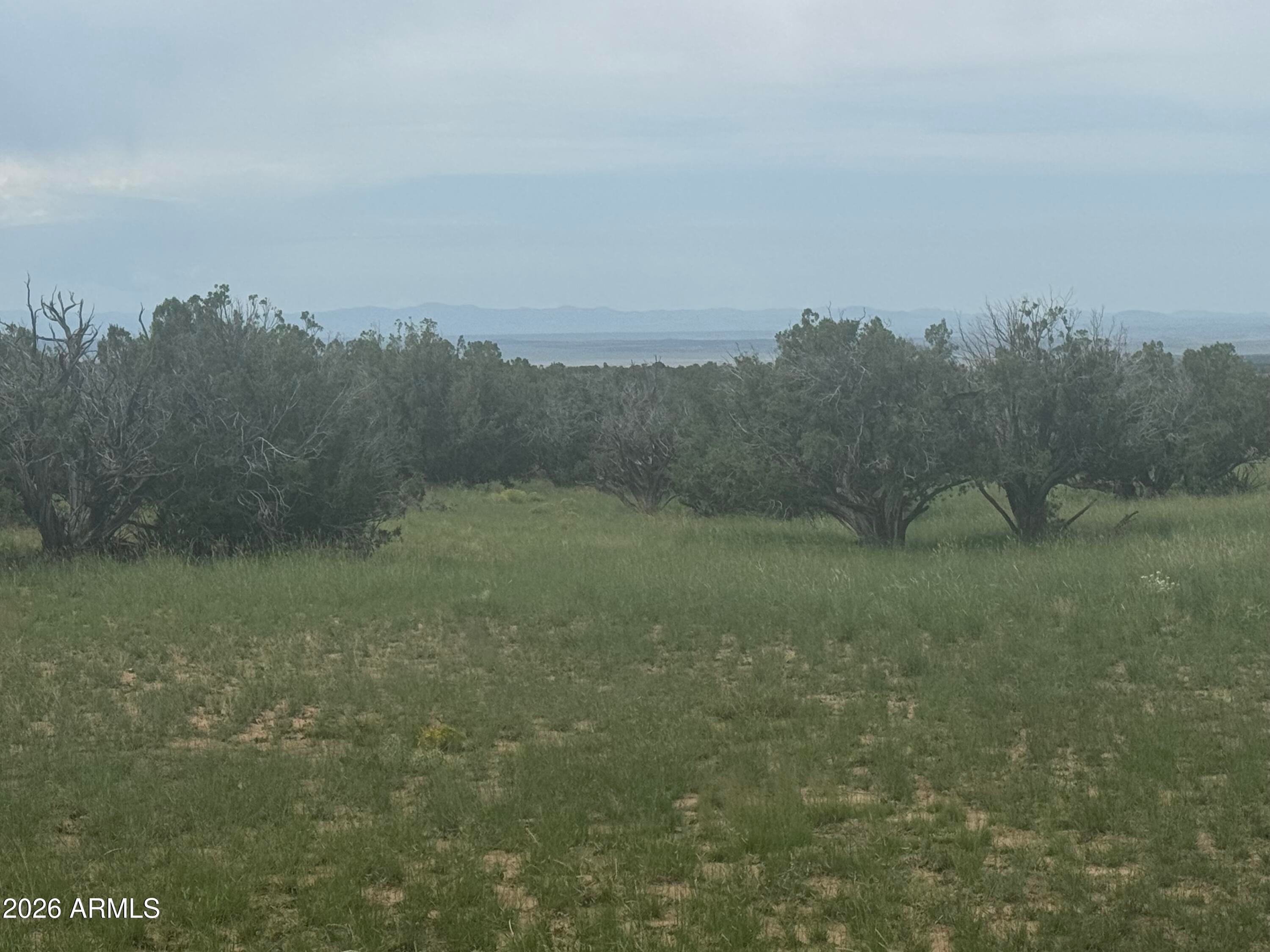 Lot 215 Woodland Valley Ranch -- 215