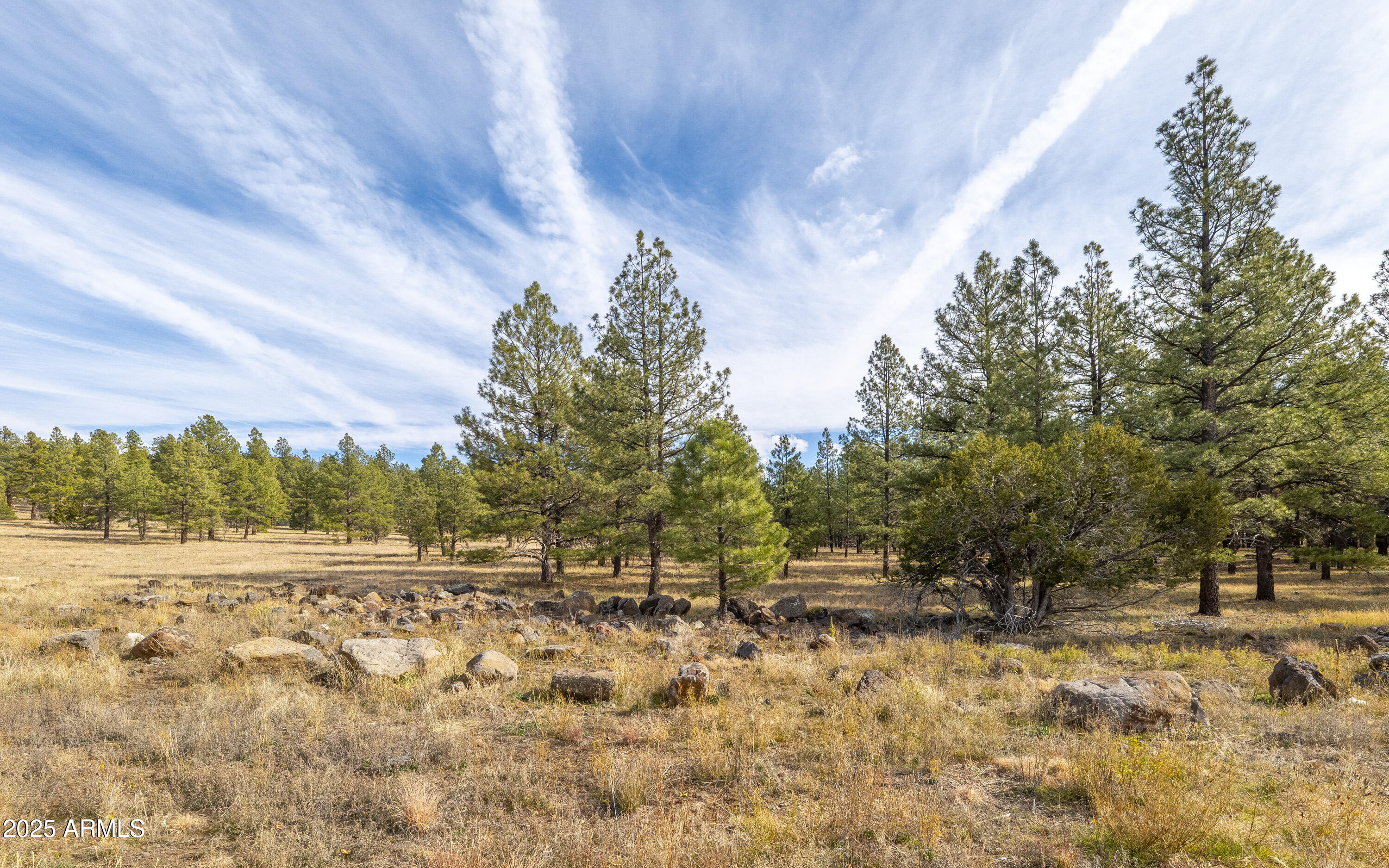 1909 N Turquoise Drive