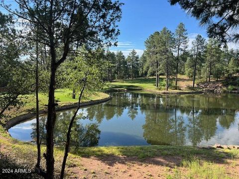 A home in Payson