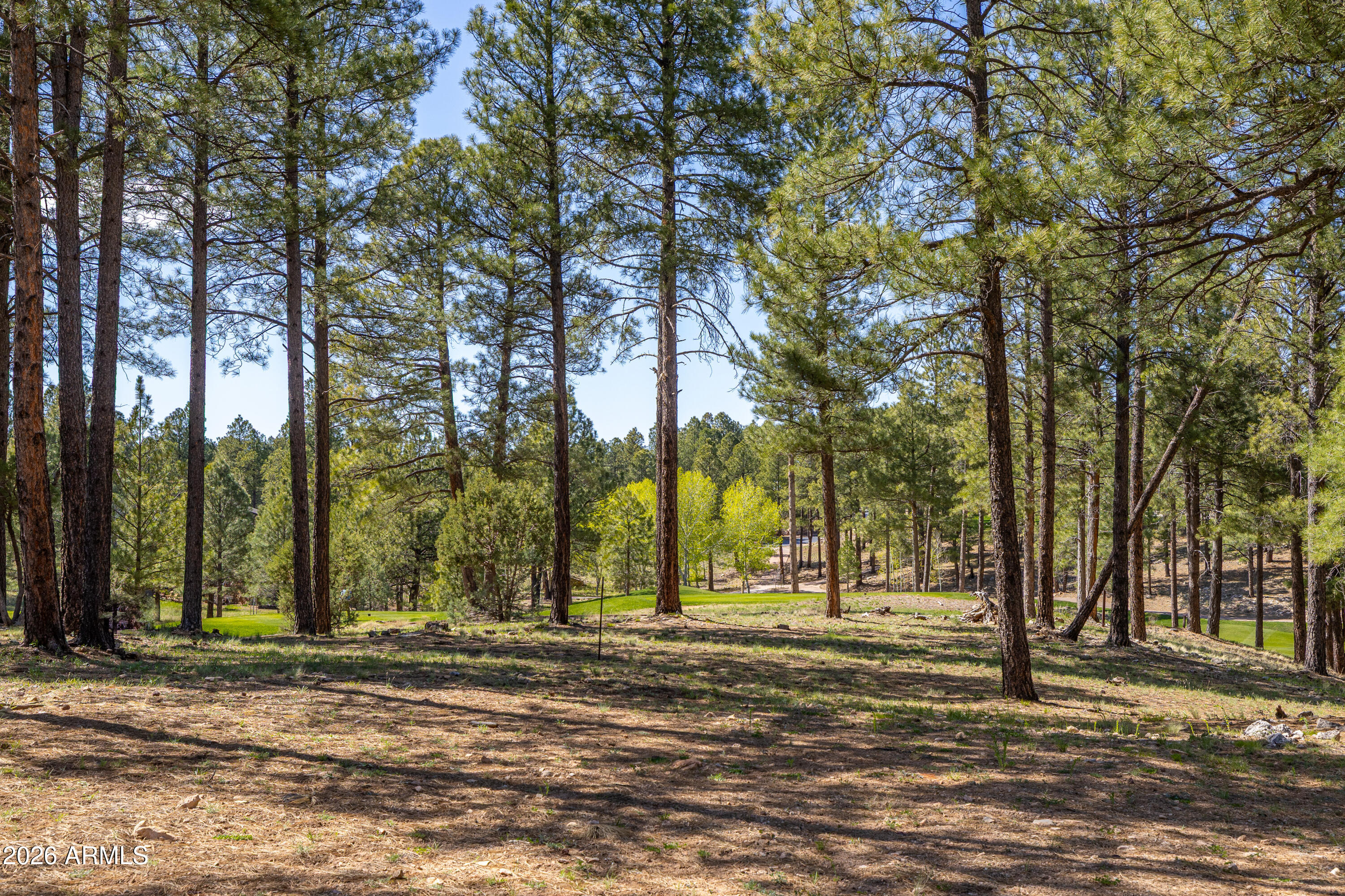 Pine Canyon - Land