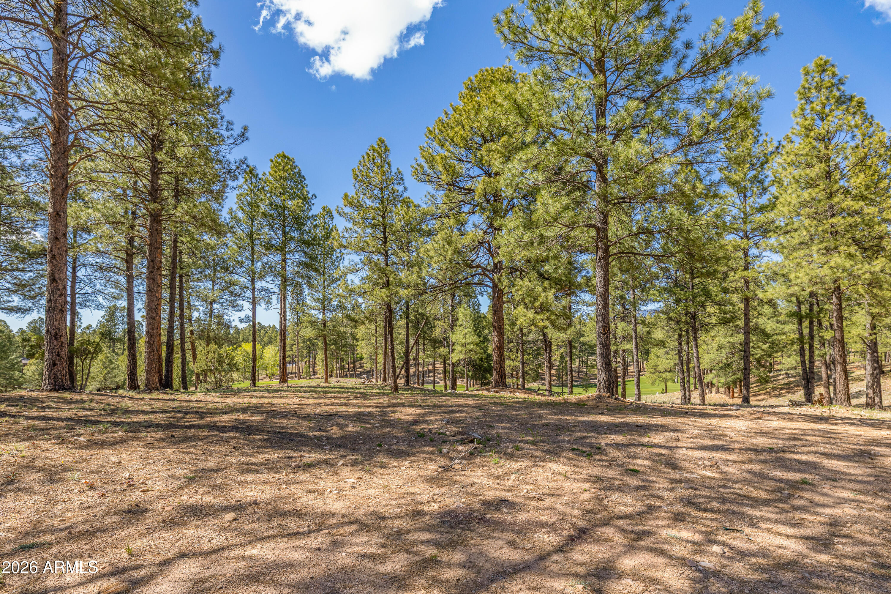 Pine Canyon - Land
