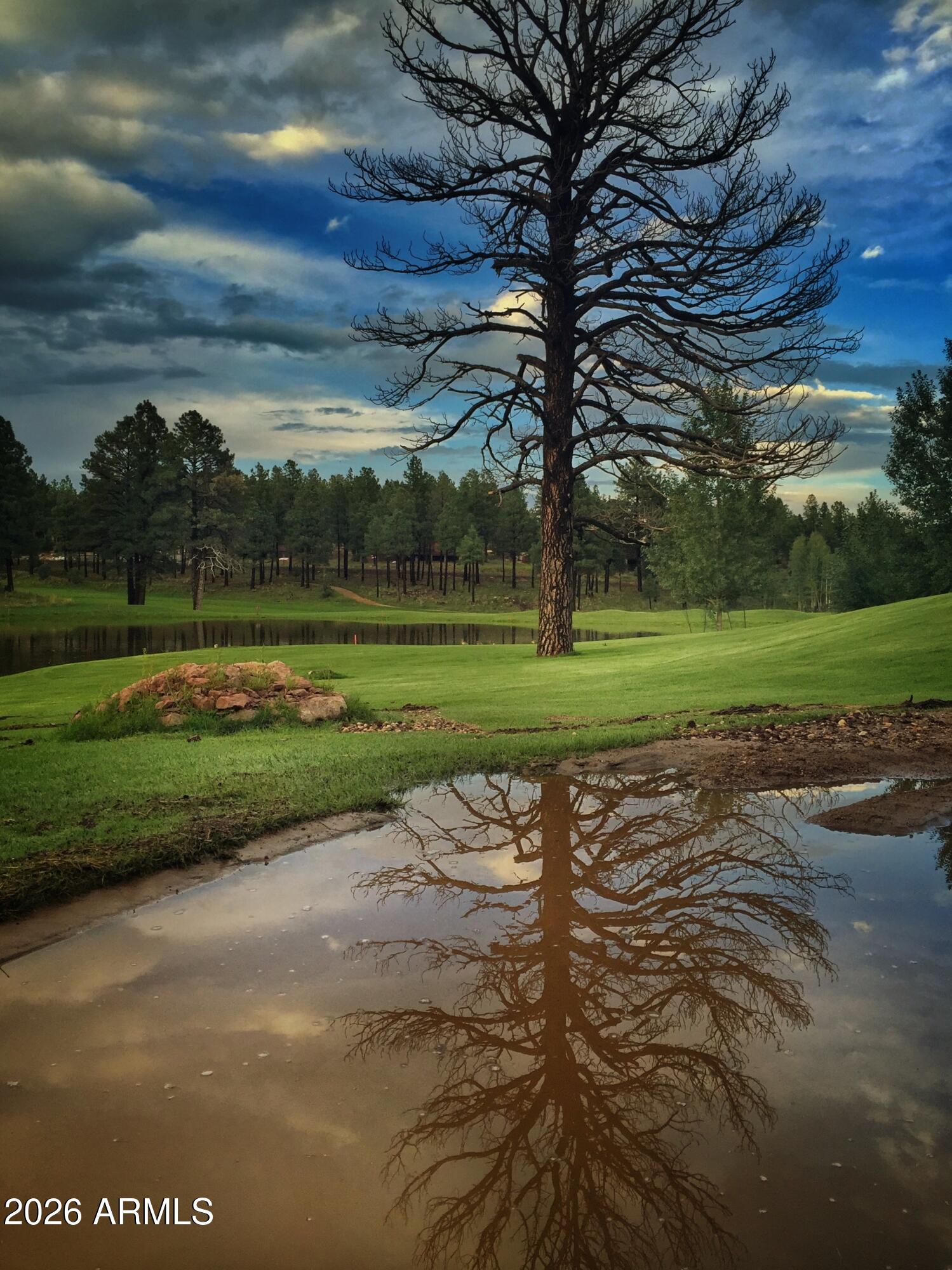 Pine Canyon - Land