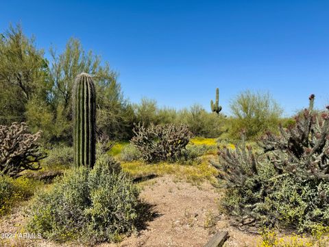 A home in Cave Creek