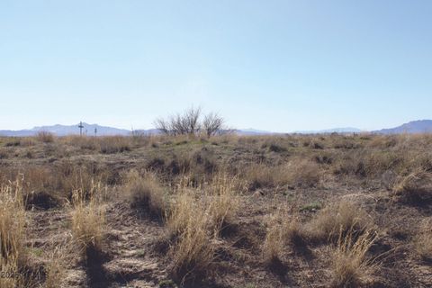 .55 Acres Hwy 186 -- 1219 Willcox AZ 85643