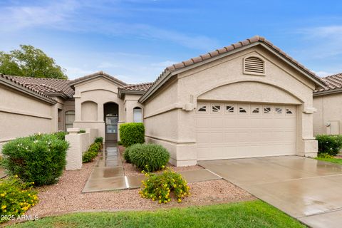 23733 S PLEASANT Way Sun Lakes AZ 85248