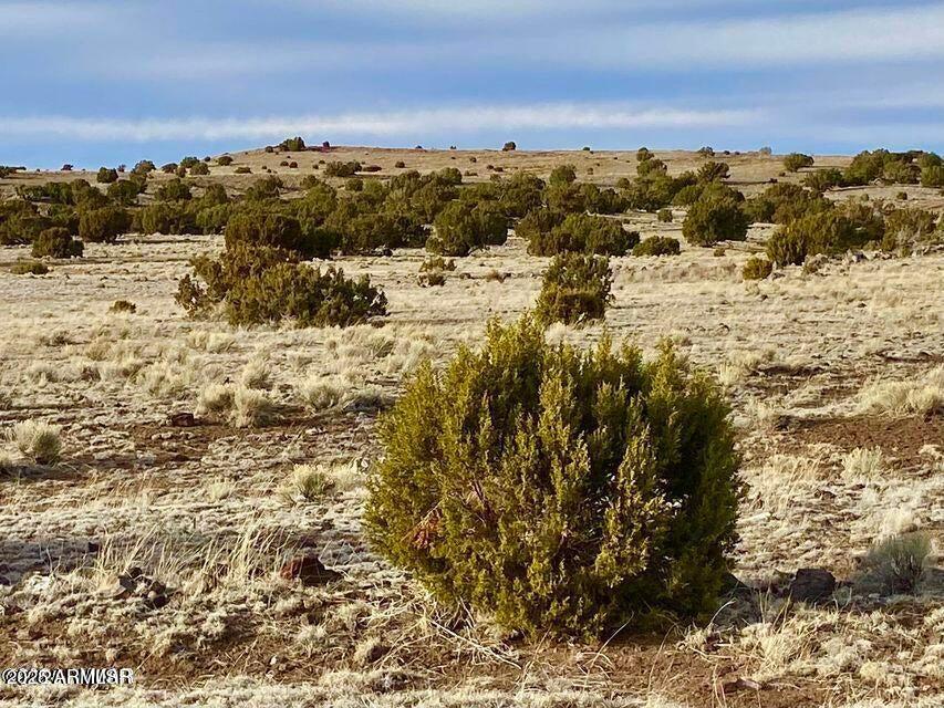 TBD Co Rd 5201 1.22 Acres -- -