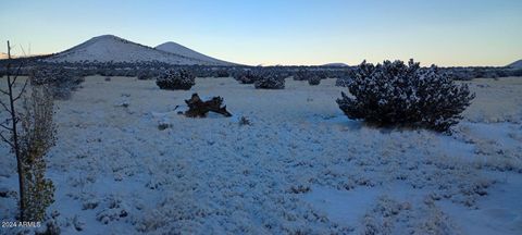 A home in Flagstaff