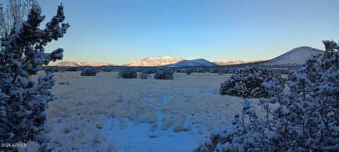 A home in Flagstaff