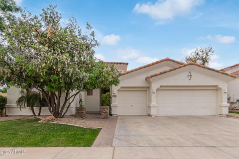 4522 S WILDFLOWER Place Chandler AZ 85248