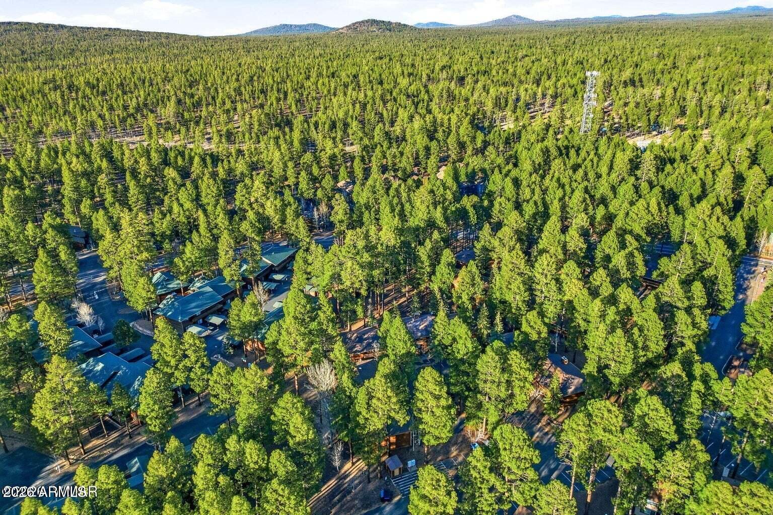 PINETOP LAKES SPORTS VILLAGE UNIT 4 - Residential