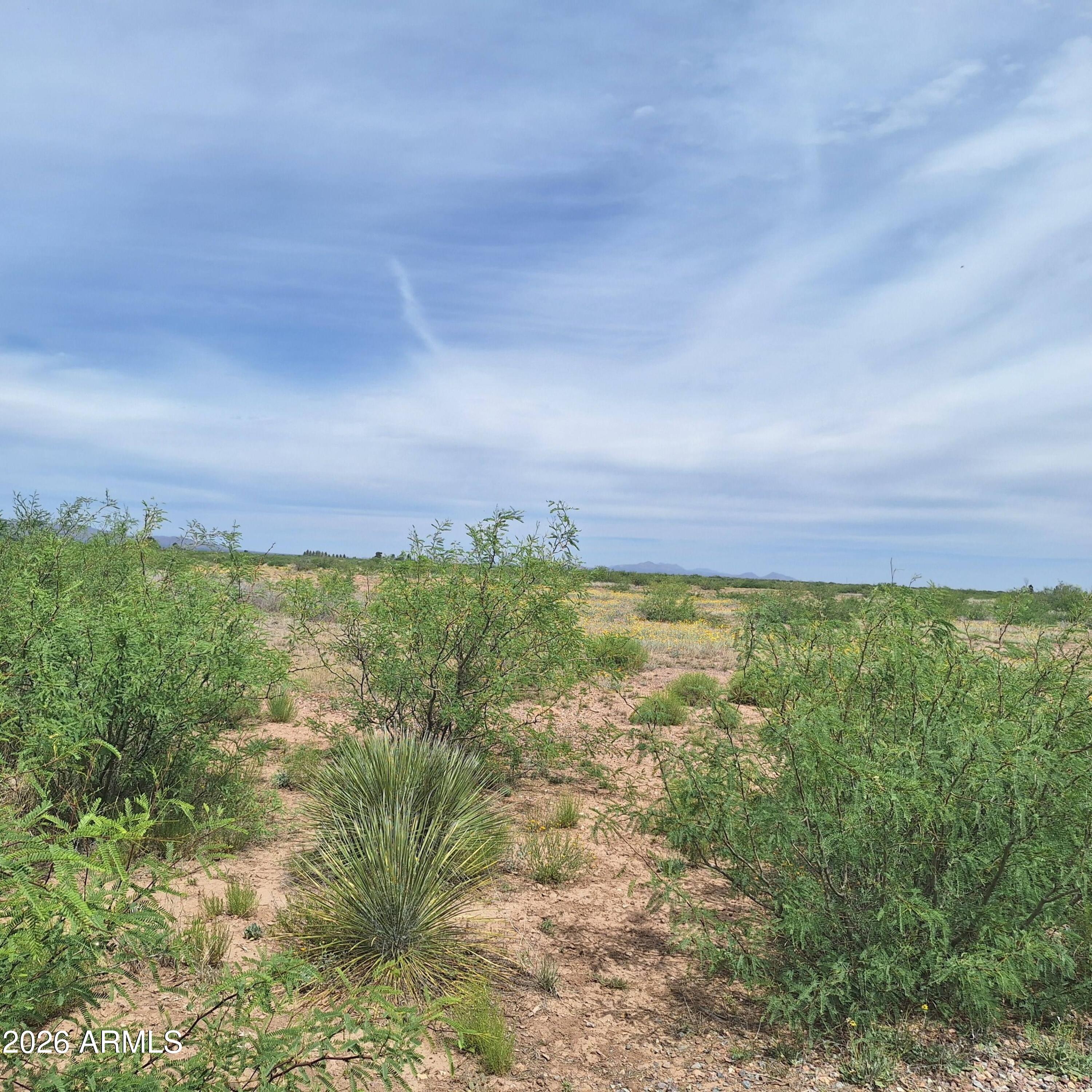 RURAL - Double Adobe/McNeal/Douglas - Land