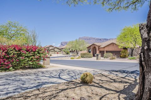 4293 S COLUMBINE Way Gold Canyon AZ 85118