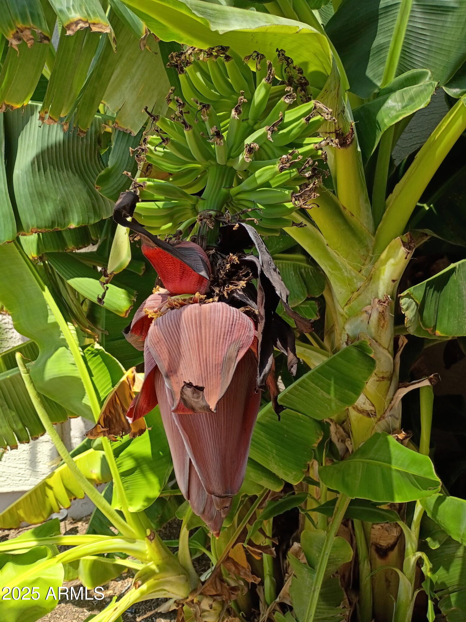 4018 E HARRISON Street