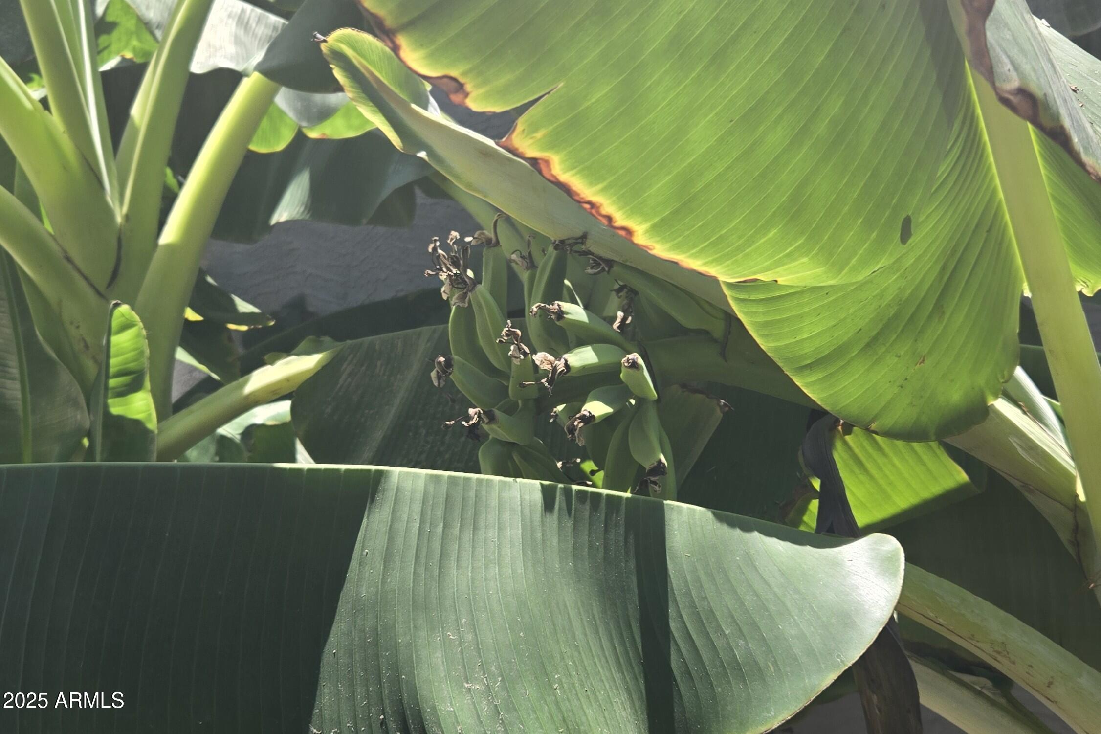 4018 E HARRISON Street