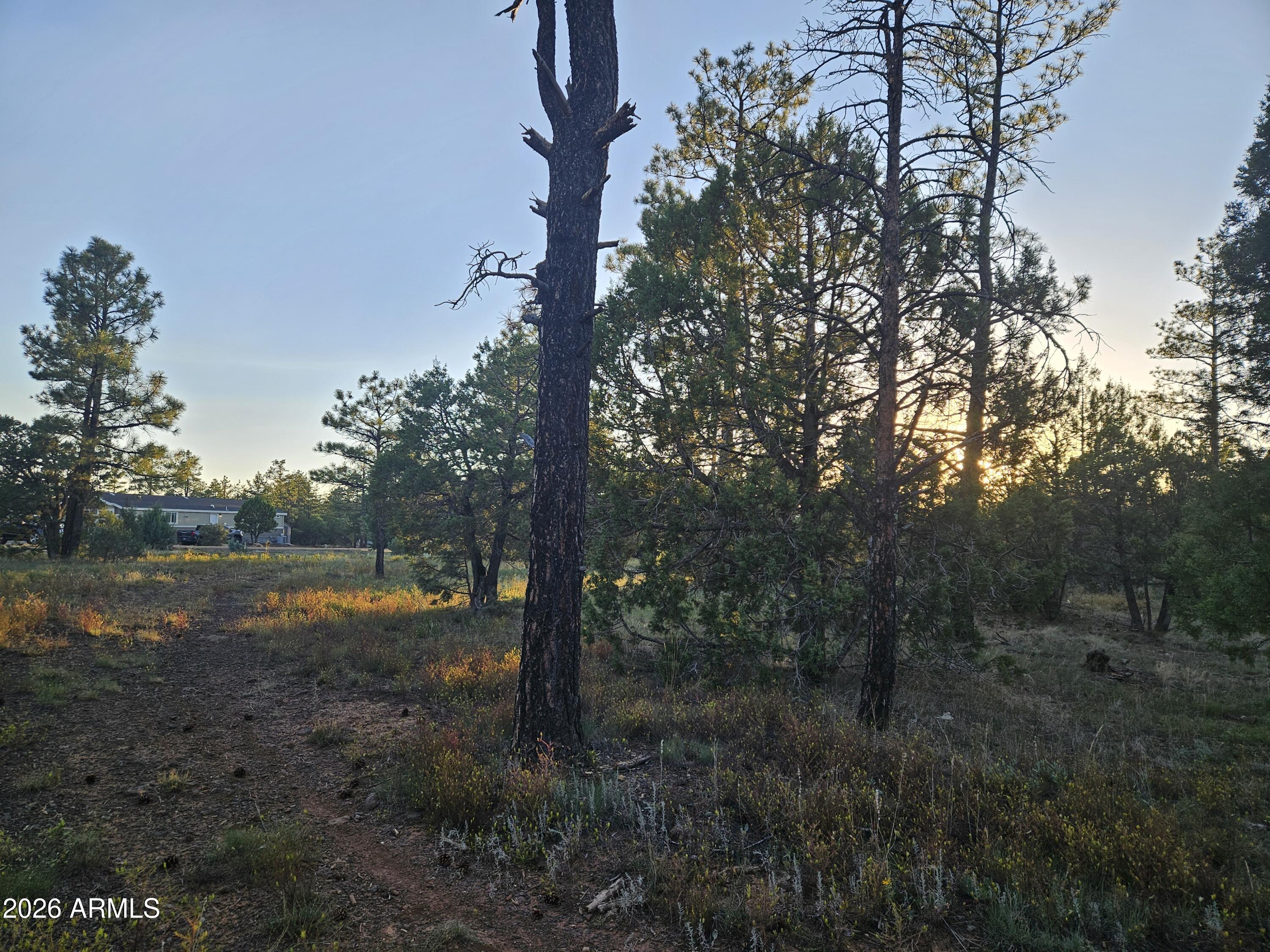 4843 W BISON Trail 41