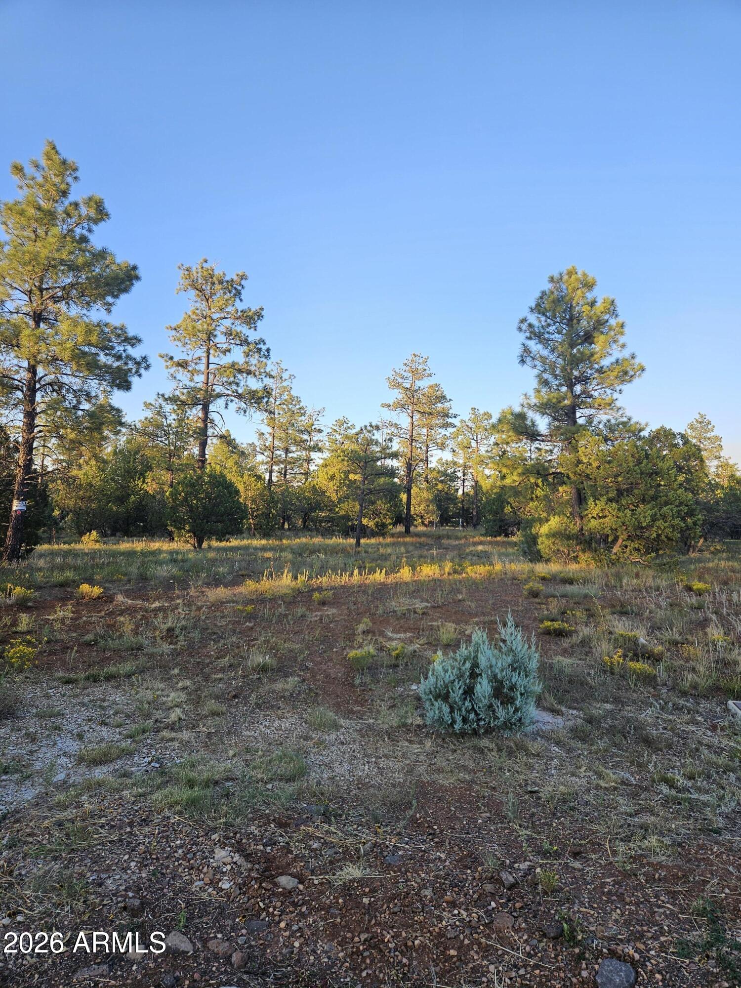 4843 W BISON Trail 41