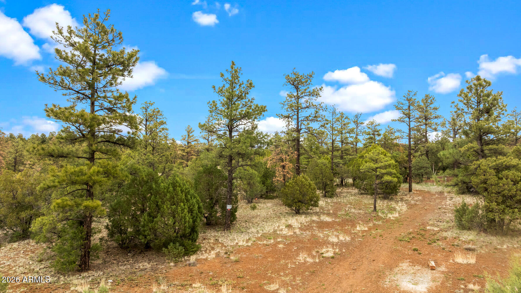 4843 W BISON Trail 41