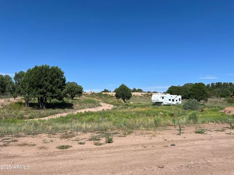 224 W Cooper Ridge 1 Young AZ 85554