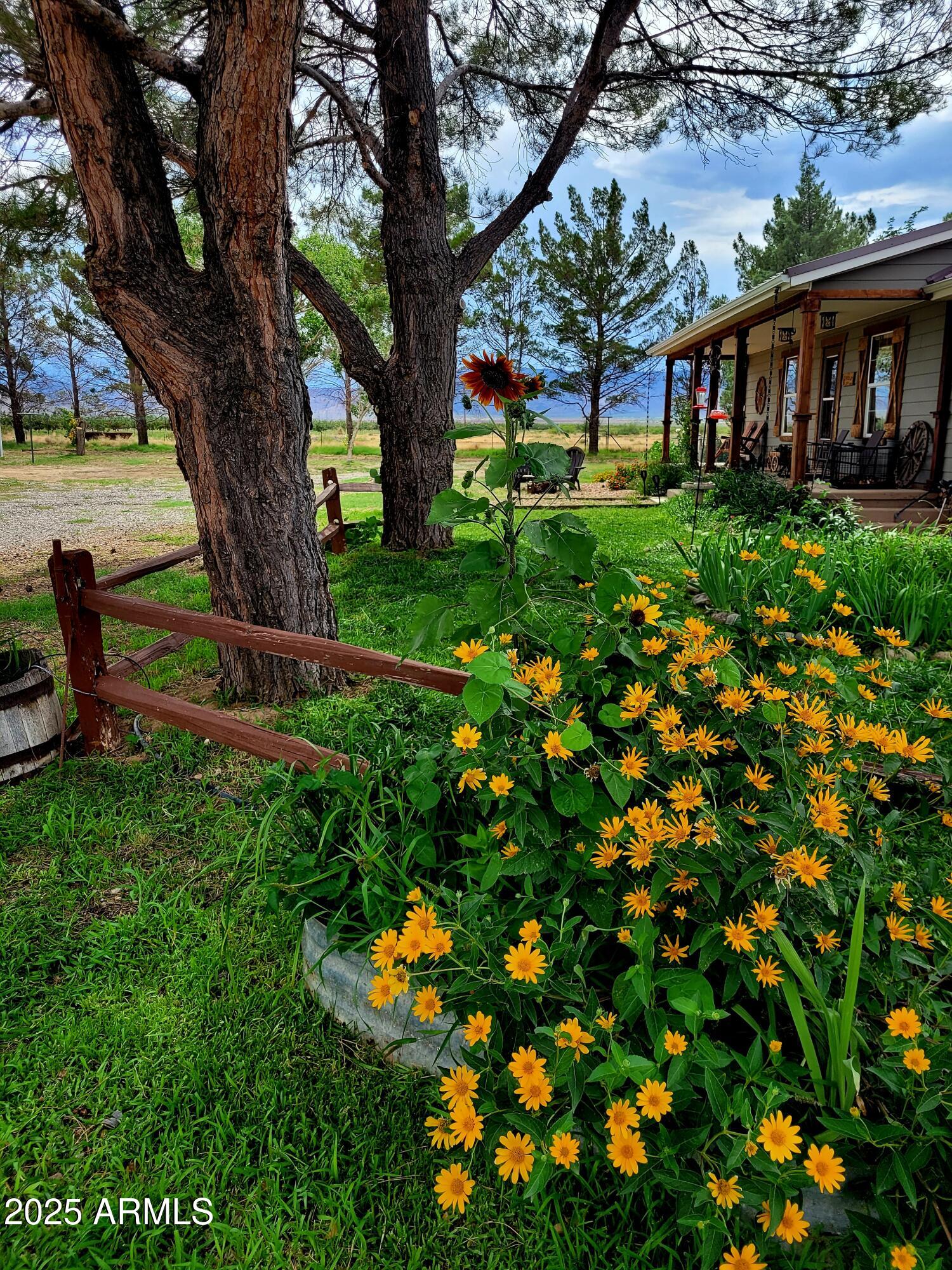 8255 N Fort Grant Road