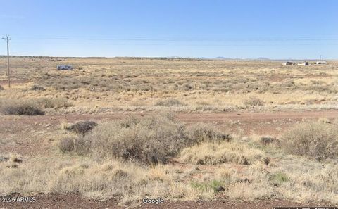 29 County Rd 6025 -- 106 St Johns AZ 85936