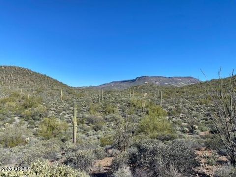 45XXX N Cottonwood Canyon Road - Cave Creek AZ 85331
