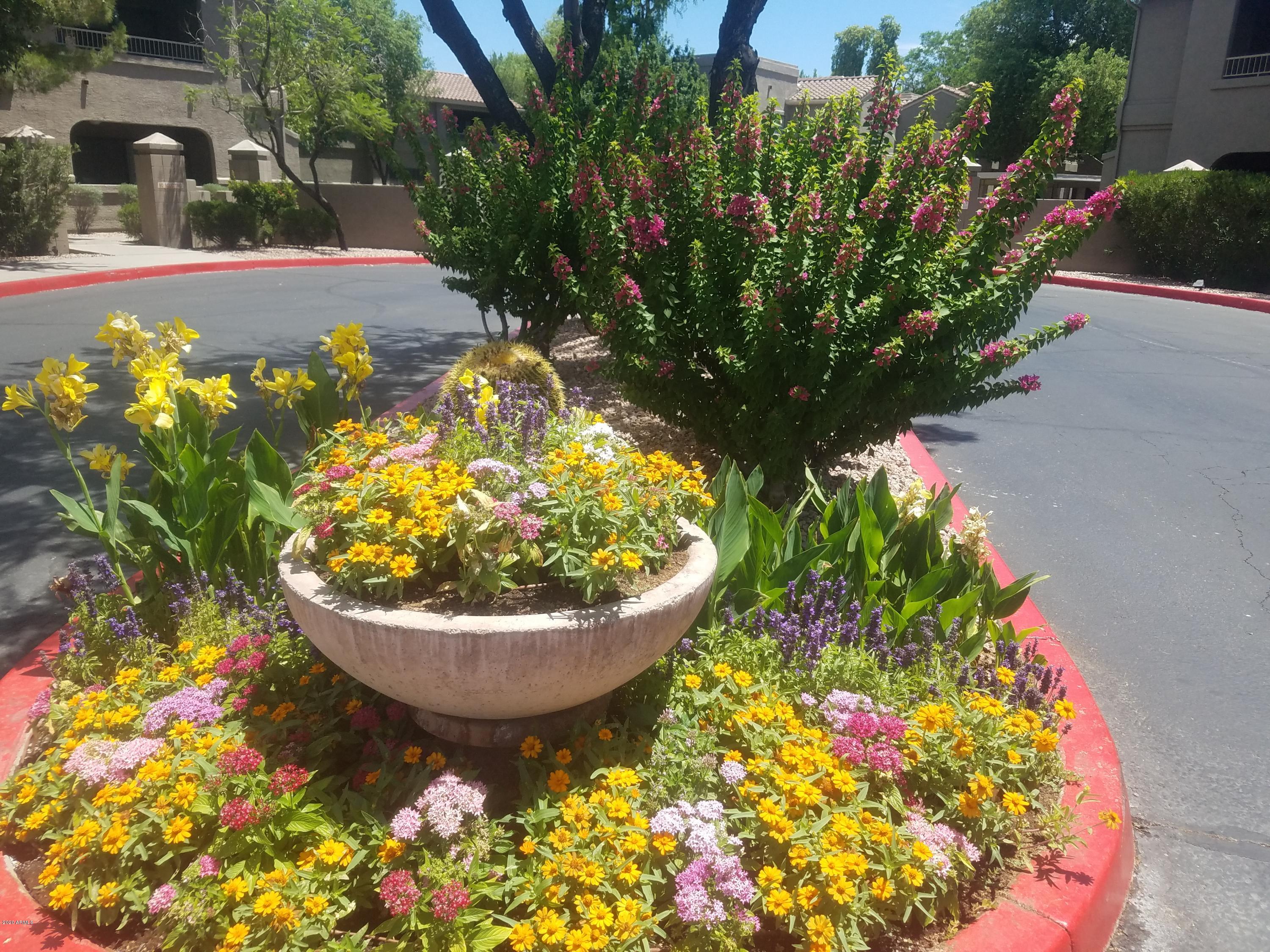 15225 N 100TH Street 1217