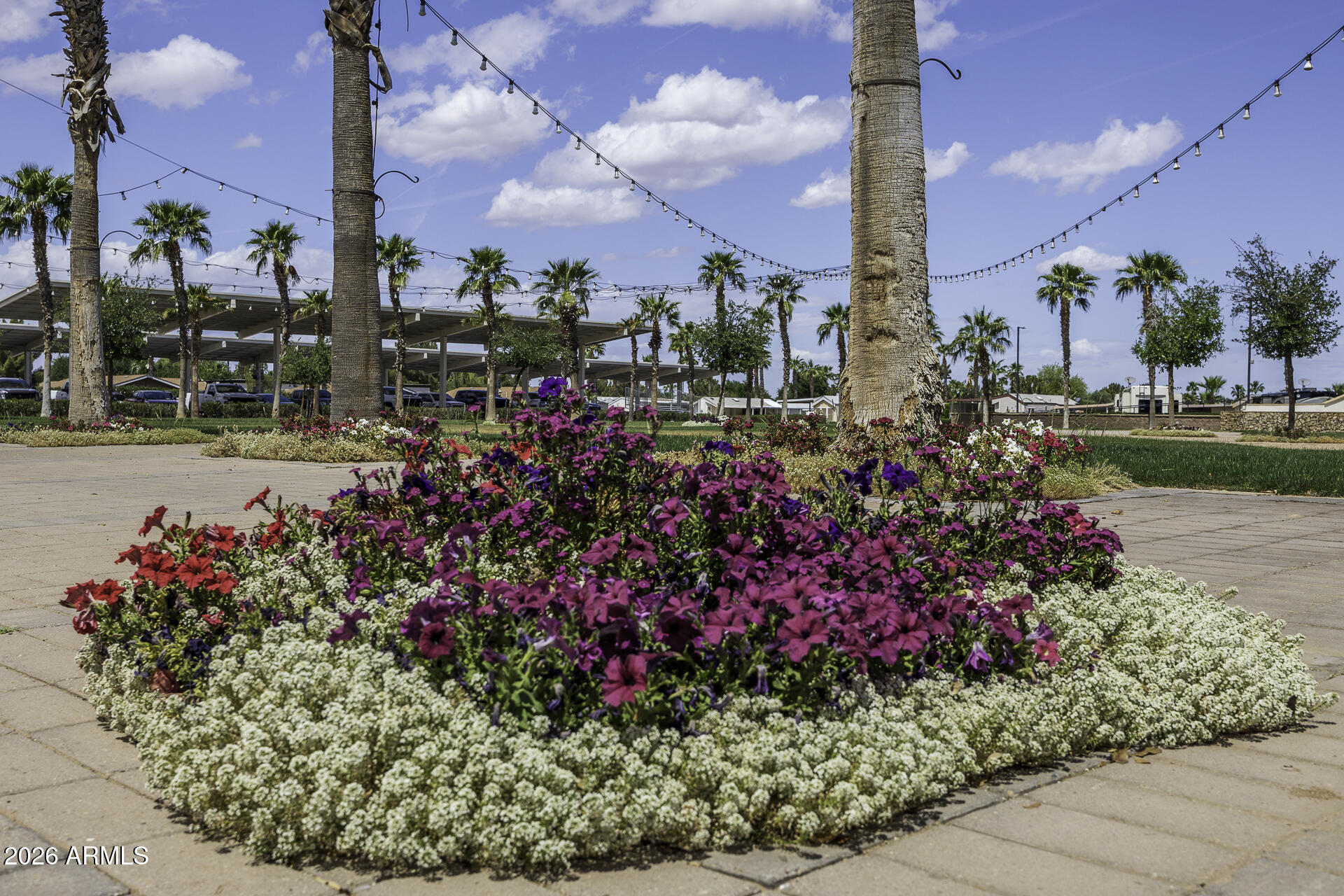 Palm Creek - Residential