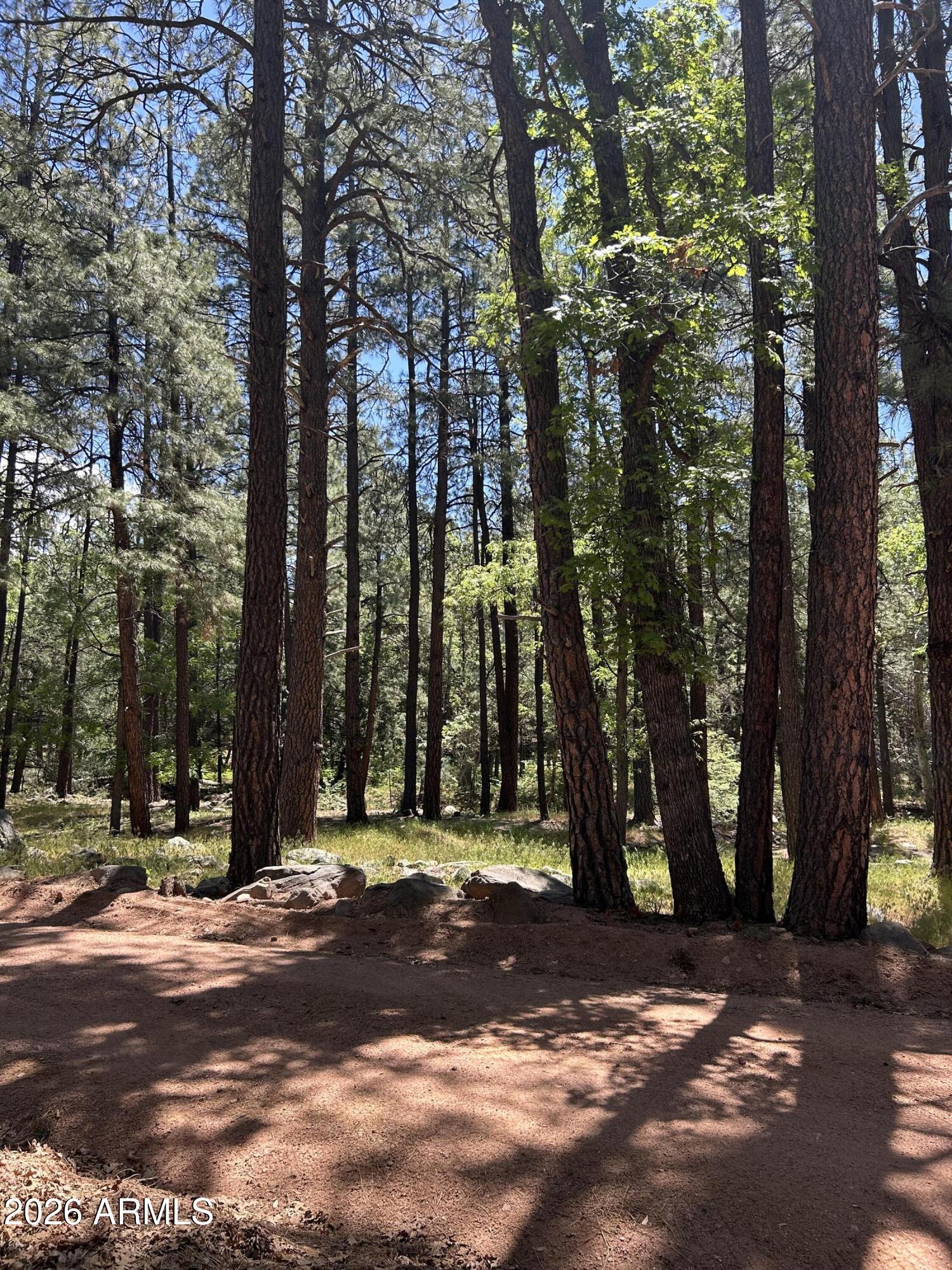 ELLISON CREEK ESTATES UNIT 2 - Land