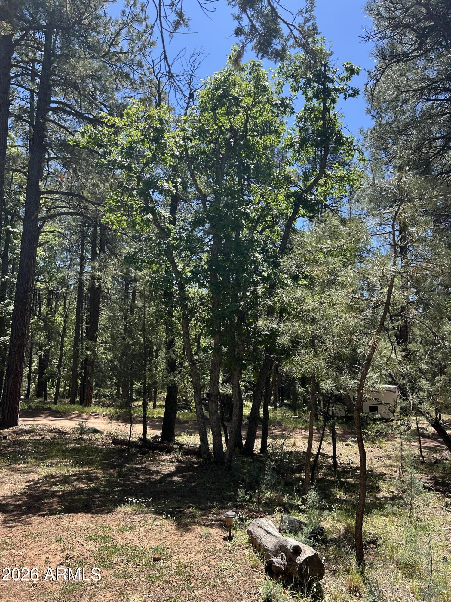 ELLISON CREEK ESTATES UNIT 2 - Land
