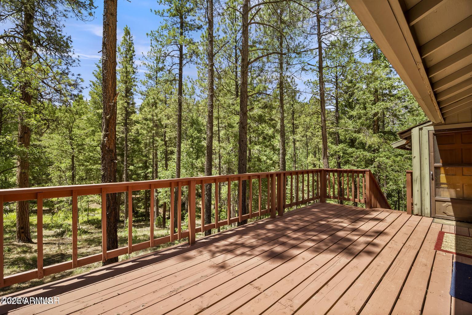 12 COUNTY ROAD 2044 --