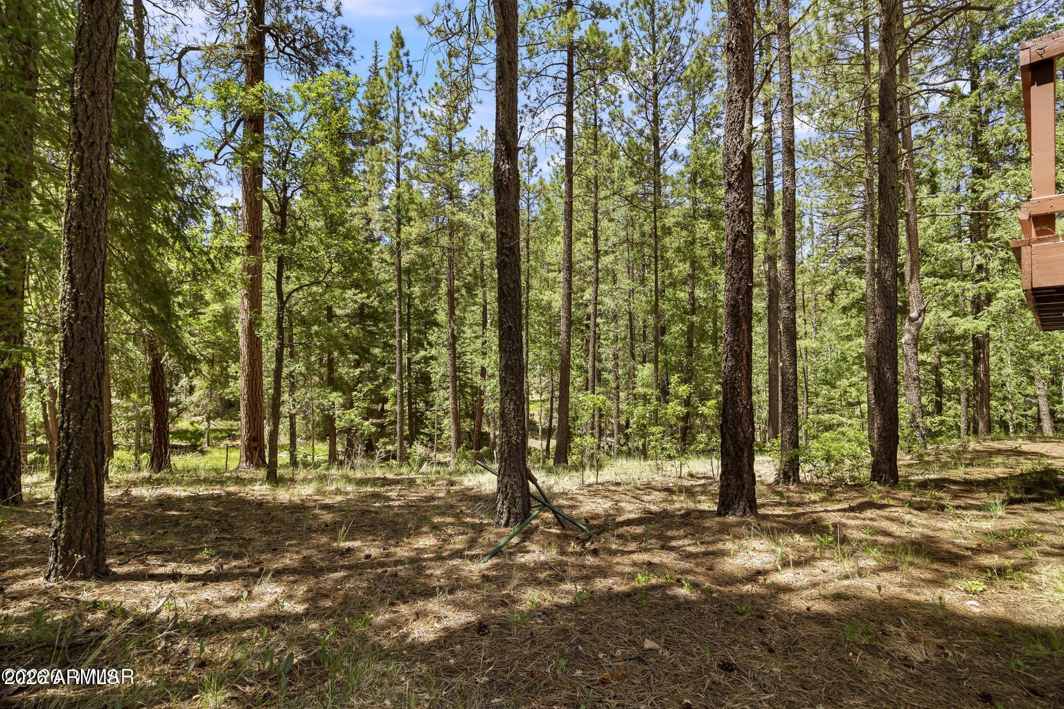 12 COUNTY ROAD 2044 --