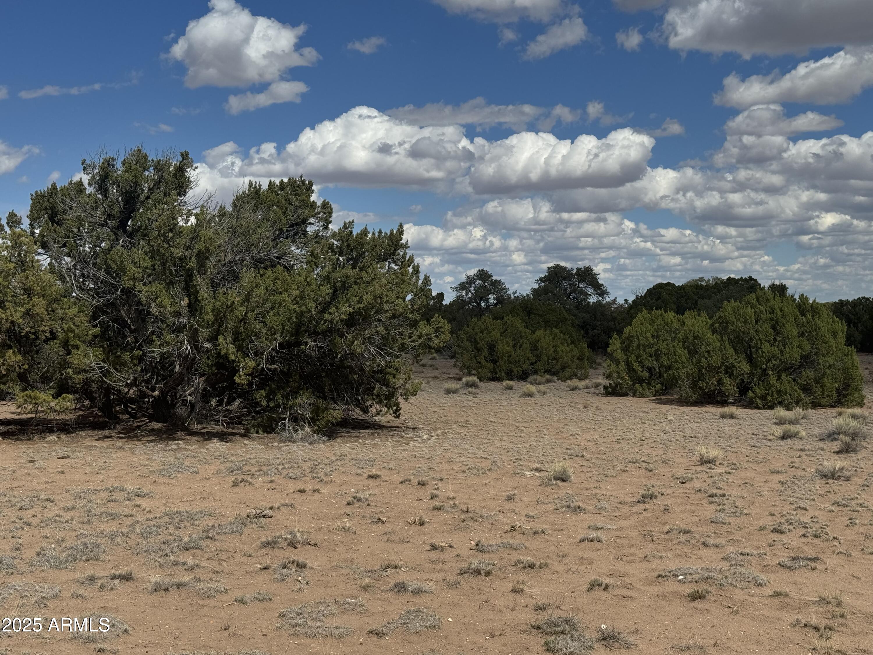 Lot 131 Elk Valley Ranch -- 131